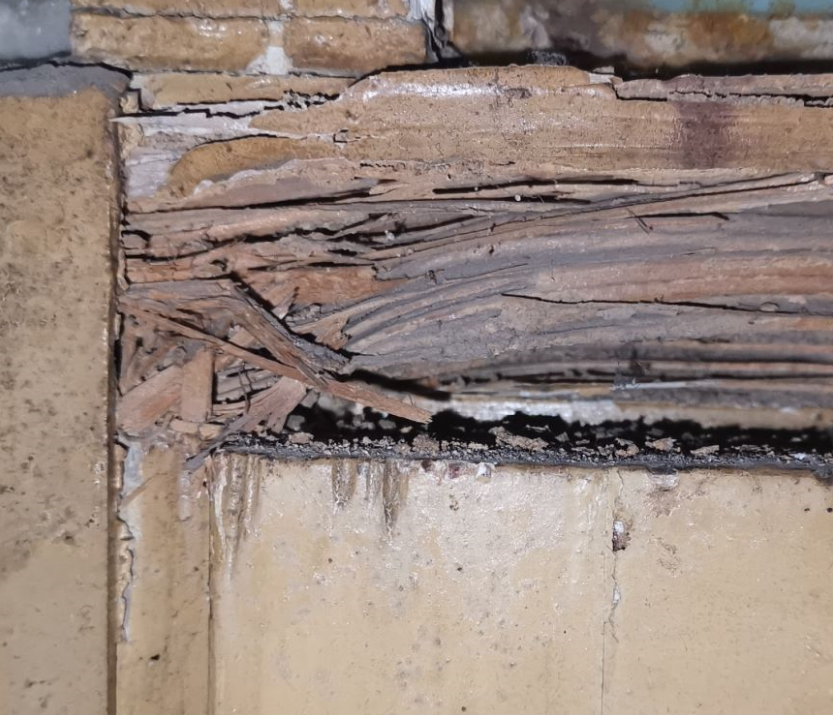 白蚁啃食的门框